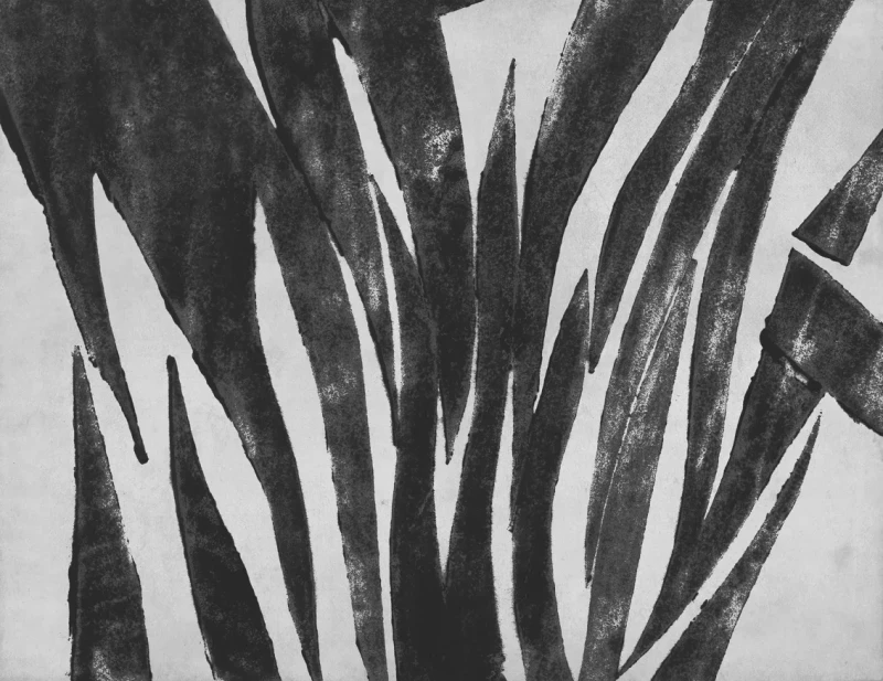 Fototapeta na flizelinie Rebel Walls M2503-2
