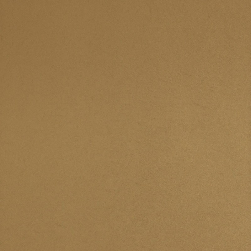 17939 - Curious - BN Walls_1.jpg