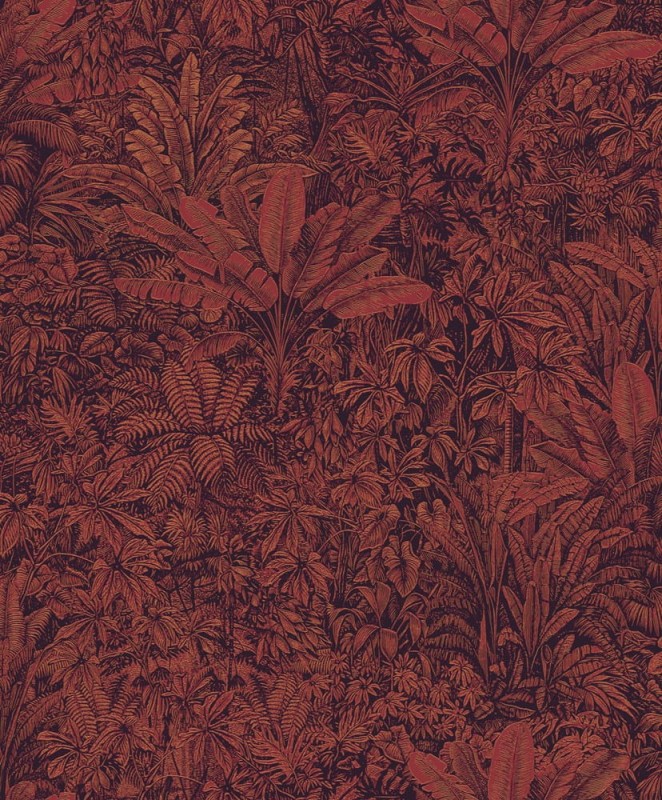 Tapeta CAB305 Cabinet of Curiosities Khroma