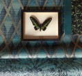 Tapeta CAB503 Cabinet of Curiosities Khroma