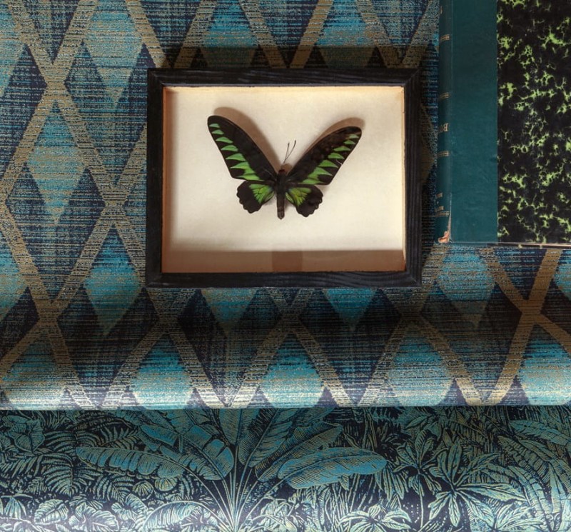 Tapeta CAB503 Cabinet of Curiosities Khroma