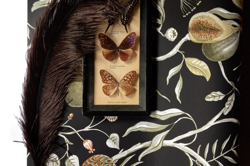 Tapeta CAB605 Cabinet of Curiosities Khroma