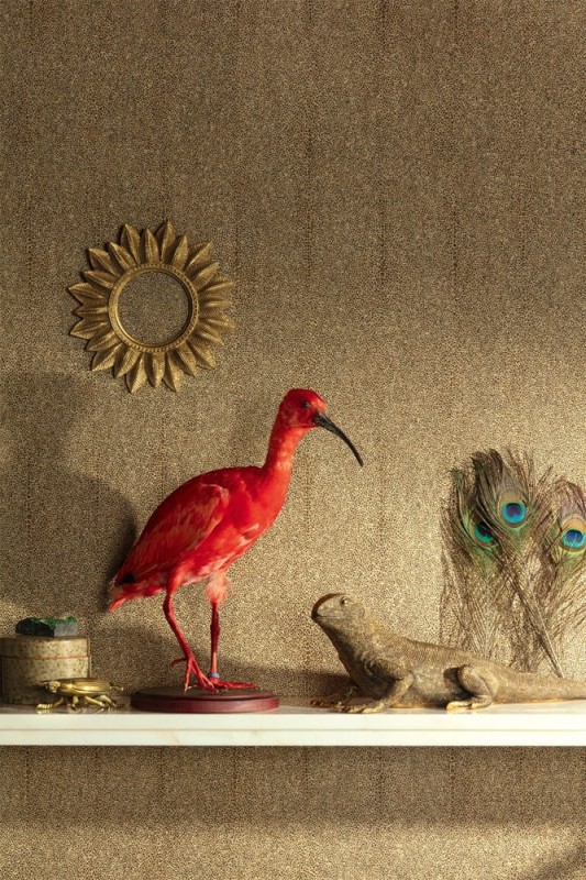 Tapeta CAB904 Cabinet of Curiosities Khroma
