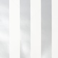 100100 SILVER STRIPE PHOTO CAD.jpg