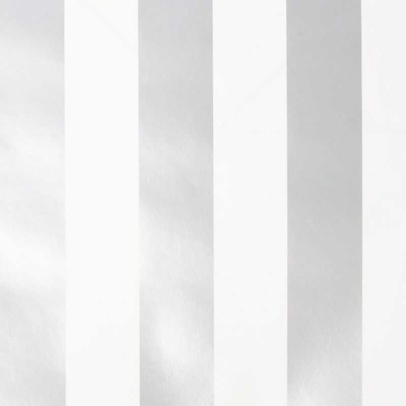 100100 SILVER STRIPE PHOTO CAD.jpg