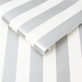 100100 SILVER STRIPE ROLL SHOT.jpg