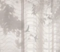 Fototapeta cienie ptaków i drzew