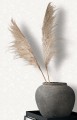 30621_imageroom.jpg