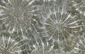 Fototapeta winylowa na flizelinie Wall&Deco WDPA2302