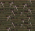 Fototapeta winylowa na flizelinie Wall&Deco WDCO2201