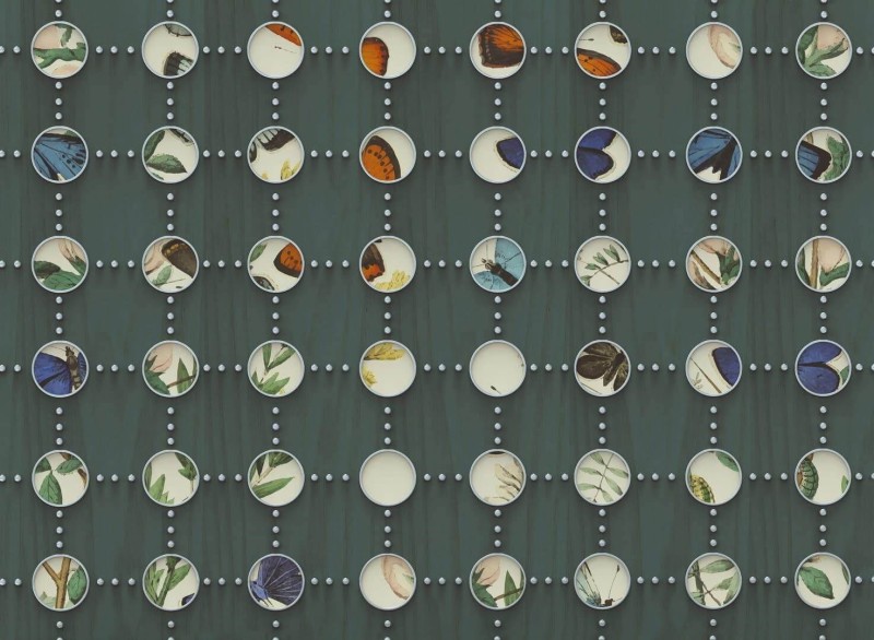 Fototapeta winylowa na flizelinie Wall&Deco WDFW2202