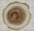 Fototapeta winylowa na flizelinie Wall&Deco WDEE2102