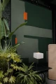 Fototapeta winylowa na flizelinie Wall&Deco WDAF2101