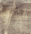 Fototapeta winylowa na flizelinie Wall&Deco WDSE2101