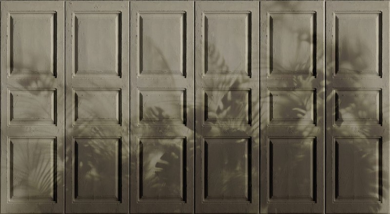 Fototapeta stare drzwi z cieniem liści