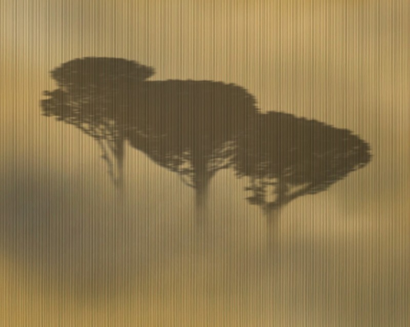 9731b52ee079cb6c4e7d3501c91e3e4f