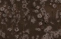 d63f0552dac5cd9aa9e139e45bebb1bf