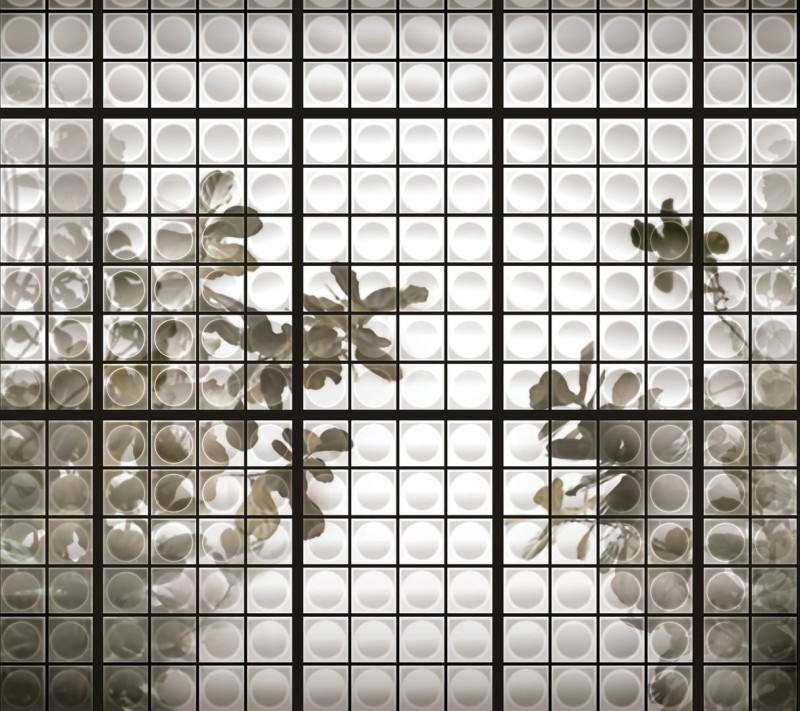 Fototapeta z motywem roślinnym za szklanymi szybkami
