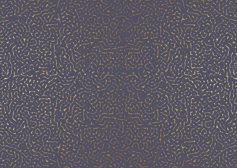 d456b9d8bdf07cd24d85daefadac212c