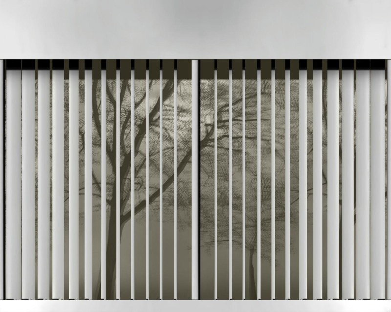 Fototapeta widok drzewa za żaluzjami