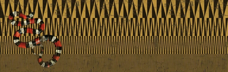 30db7ba41cf4f0a770c531072aa6a311