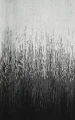 34856f2ec74ca463a2949be556f354f7