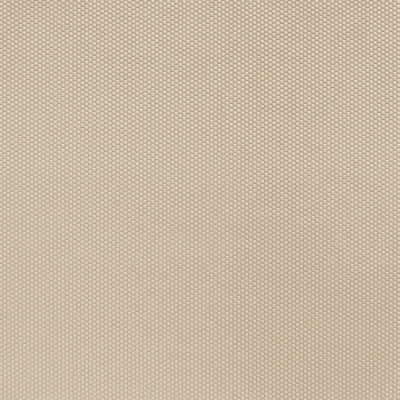 b00fcbfb191a7e1c98145204c79bf85f