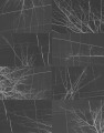 e43f6eb9ec15b0860d2705f6b5f3f614