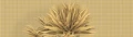 a2c970d97312294e2a7e294cf8ad3844