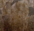 1864b5c9ff99fdfe0ebf1ab1f81326b1