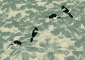 b7ebe34ec73d8f7e89b71122b8160dab