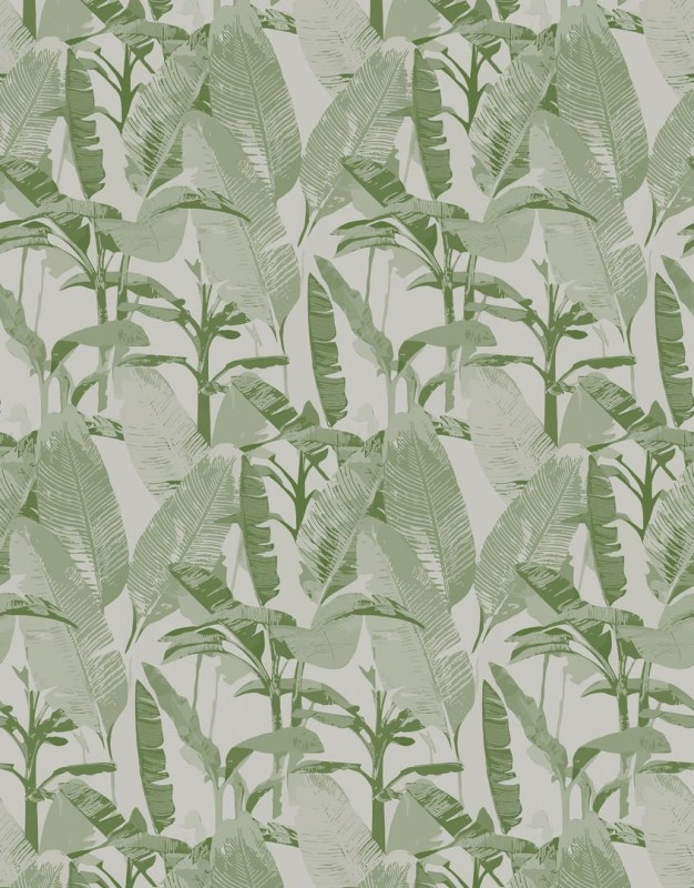 Fototapeta zielone liście palm