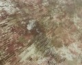 d6cebce7731ffdc4c15986929f261c76