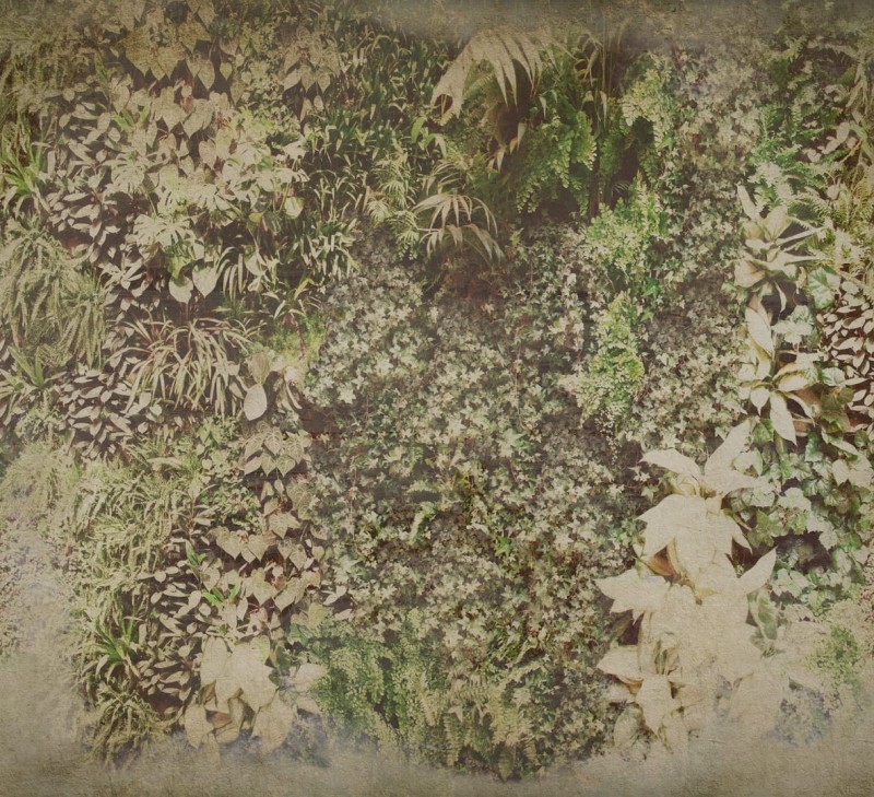 Fototapeta w zielone liście