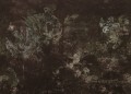 Fototapeta winylowa na flizelinie Wall&Deco WDNA1502