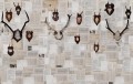 Fototapeta winylowa na flizelinie Wall&Deco WDAL1501