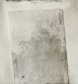 Fototapeta winylowa na flizelinie Wall&Deco WDTA1501