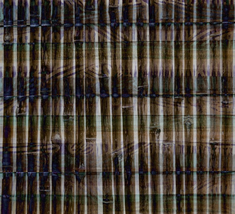 Fototapeta winylowa na flizelinie Wall&Deco WDSE1501
