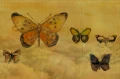 Fototapeta winylowa na flizelinie Wall&Deco GPW1433