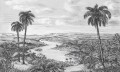 Palm.jpg