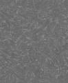 Tapeta 34156 Loft Superior Marburg