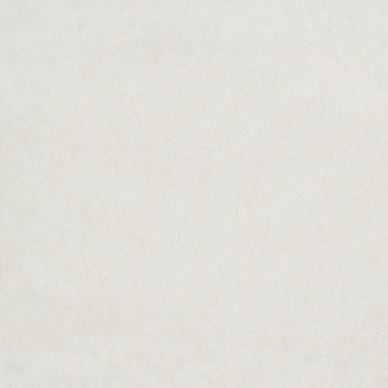 9799.jpg