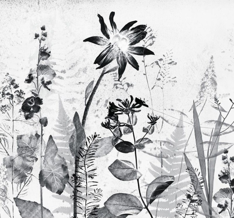 Fototapeta na flizelinie 121643 Art For The Home