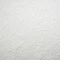 9823_9723.jpg