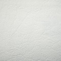 9855_9755.jpg