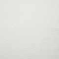 9045_9545.jpg