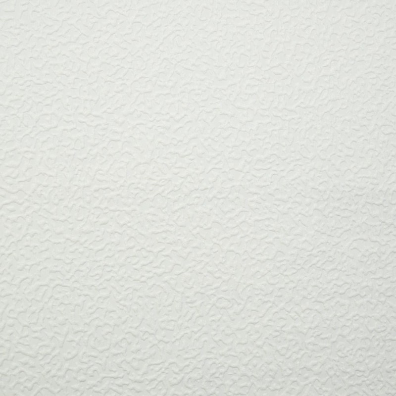 9045_9545.jpg