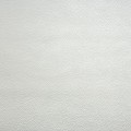 9879_9779.jpg