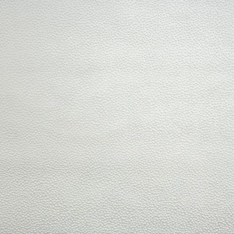 9879_9779.jpg