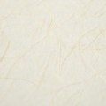 9799-2.jpg